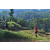 Team 66 / Raid Amazones Sri Lanka 2023 - J6 Trail
