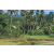 Team 34 / Raid Amazones Sri Lanka 2023 - J6 Trail