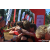 Team 47 / Raid Amazones Sri Lanka 2023 - J6 Trail