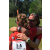 Team 02 / Raid Amazones Sri Lanka 2023 - J6 Trail