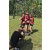 Team 303 / Raid Amazones Sri Lanka 2023 - J6 Trail