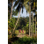 Team 07 / Raid Amazones Sri Lanka 2023 - J6 Trail