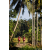 Team 41 / Raid Amazones Sri Lanka 2023 - J6 Trail