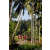 Team 10 / Raid Amazones Sri Lanka 2023 - J6 Trail