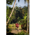 Team 337 / Raid Amazones Sri Lanka 2023 - J6 Trail