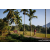 Team 55 / Raid Amazones Sri Lanka 2023 - J6 Trail