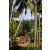 Team 310 / Raid Amazones Sri Lanka 2023 - J6 Trail