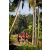 Team 313 / Raid Amazones Sri Lanka 2023 - J6 Trail
