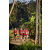 Team 321 / Raid Amazones Sri Lanka 2023 - J6 Trail