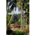 Team 313 / Raid Amazones Sri Lanka 2023 - J6 Trail
