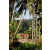 Team 324 / Raid Amazones Sri Lanka 2023 - J6 Trail