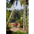 Team 49 / Raid Amazones Sri Lanka 2023 - J6 Trail