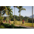Team 75 / Raid Amazones Sri Lanka 2023 - J6 Trail