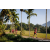 Team 331 / Raid Amazones Sri Lanka 2023 - J6 Trail