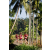 Team 74 / Raid Amazones Sri Lanka 2023 - J6 Trail
