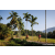 Team 314 / Raid Amazones Sri Lanka 2023 - J6 Trail