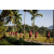Team 336 / Raid Amazones Sri Lanka 2023 - J6 Trail