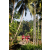 Team 14 / Raid Amazones Sri Lanka 2023 - J6 Trail