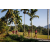 Team 42 / Raid Amazones Sri Lanka 2023 - J6 Trail