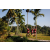 Team 303 / Raid Amazones Sri Lanka 2023 - J6 Trail