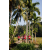 Team 11 / Raid Amazones Sri Lanka 2023 - J6 Trail