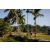 Team 48 / Raid Amazones Sri Lanka 2023 - J6 Trail