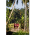 Team 309 / Raid Amazones Sri Lanka 2023 - J6 Trail