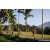Team 39 / Raid Amazones Sri Lanka 2023 - J6 Trail