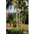 Team 89 / Raid Amazones Sri Lanka 2023 - J6 Trail