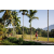 Team 89 / Raid Amazones Sri Lanka 2023 - J6 Trail