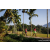 Team 88 / Raid Amazones Sri Lanka 2023 - J6 Trail