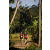Team 70 / Raid Amazones Sri Lanka 2023 - J6 Trail