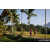 Team 51 / Raid Amazones Sri Lanka 2023 - J6 Trail