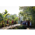 Team 87 / Raid Amazones Sri Lanka 2023 - J6 Trail