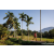 Team 52 / Raid Amazones Sri Lanka 2023 - J6 Trail