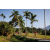 Team 28 / Raid Amazones Sri Lanka 2023 - J6 Trail