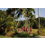 Team 71 / Raid Amazones Sri Lanka 2023 - J6 Trail