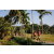 Team 71 / Raid Amazones Sri Lanka 2023 - J6 Trail