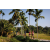 Team 02 / Raid Amazones Sri Lanka 2023 - J6 Trail