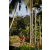 Team 66 / Raid Amazones Sri Lanka 2023 - J6 Trail