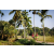 Team 34 / Raid Amazones Sri Lanka 2023 - J6 Trail