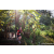 Team 55 / Raid Amazones Sri Lanka 2023 - J6 Trail