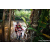 Team 63 / Raid Amazones Sri Lanka 2023 - J6 Trail