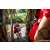 Team 69 / Raid Amazones Sri Lanka 2023 - J6 Trail