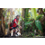 Team 302 / Raid Amazones Sri Lanka 2023 - J6 Trail