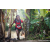 Team 302 / Raid Amazones Sri Lanka 2023 - J6 Trail