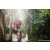 Team 05 / Raid Amazones Sri Lanka 2023 - J6 Trail