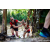 Team 310 / Raid Amazones Sri Lanka 2023 - J6 Trail