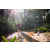 Team 75 / Raid Amazones Sri Lanka 2023 - J6 Trail