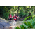 Team 71 / Raid Amazones Sri Lanka 2023 - J6 Trail